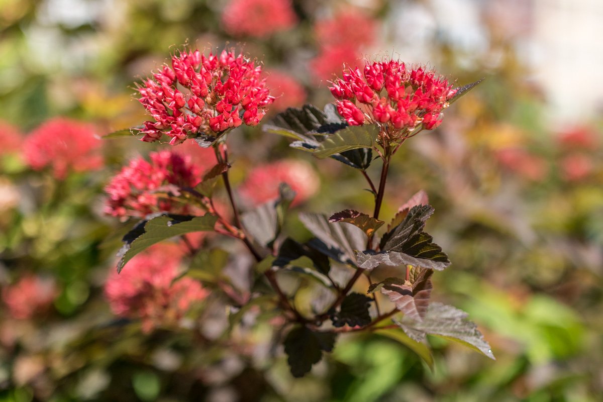 Дождь прошел, отмелькали зарницы.