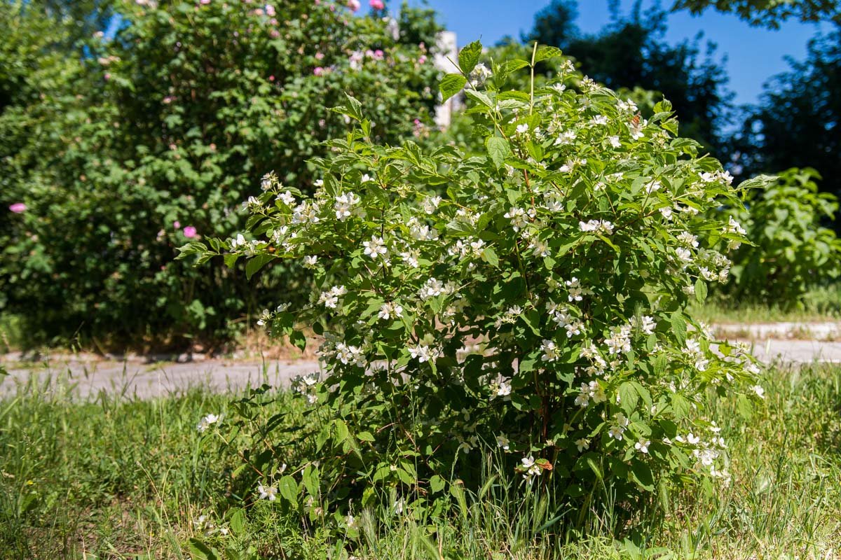 Коль любить – так любить! И никто обделённым не будет!