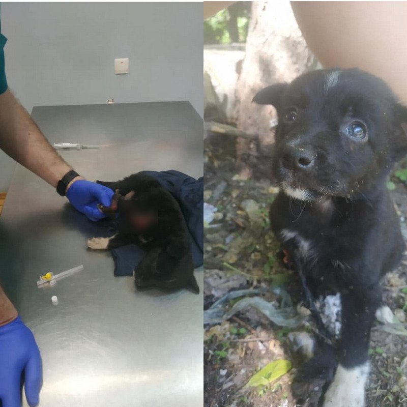 Ему нужна помощь