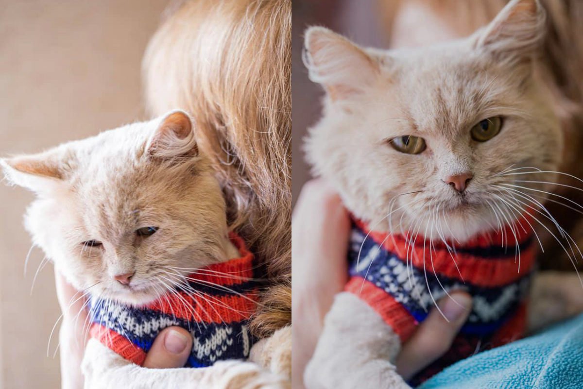 Одно сплошное НЯ