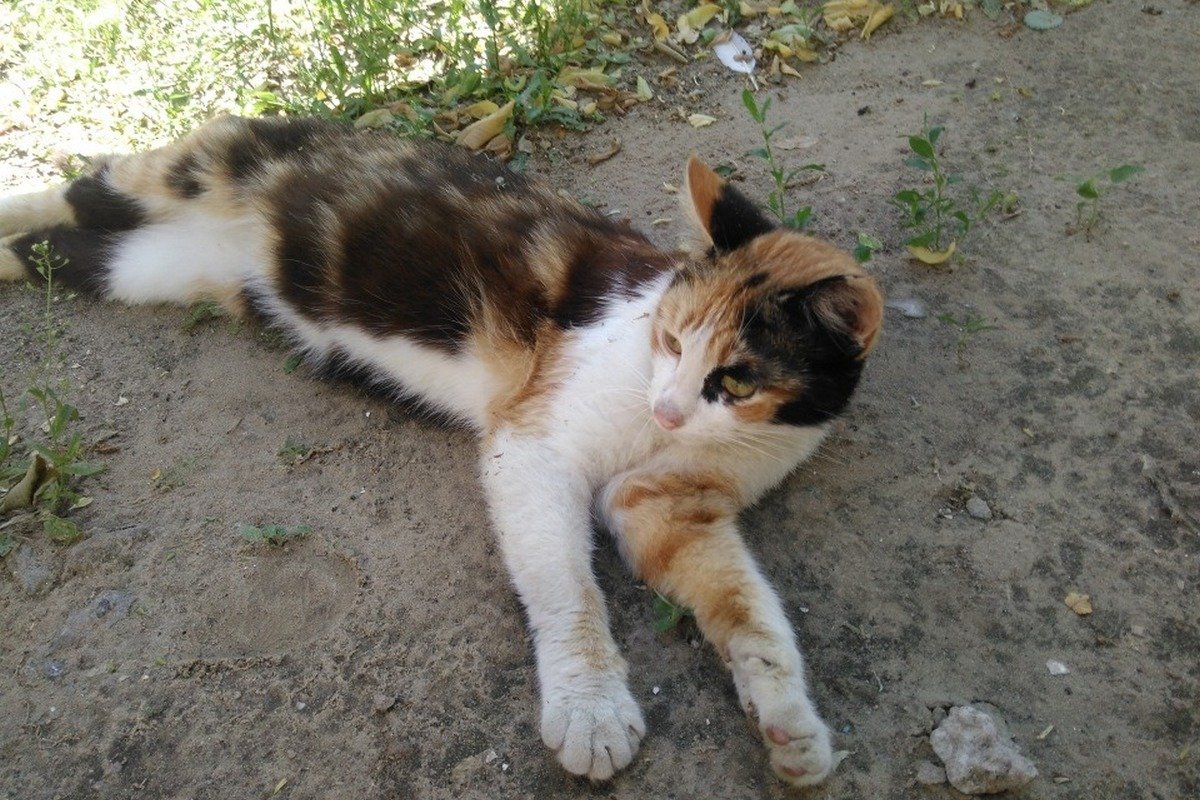 С ней вы сможете навсегда забыть, что такое депрессия