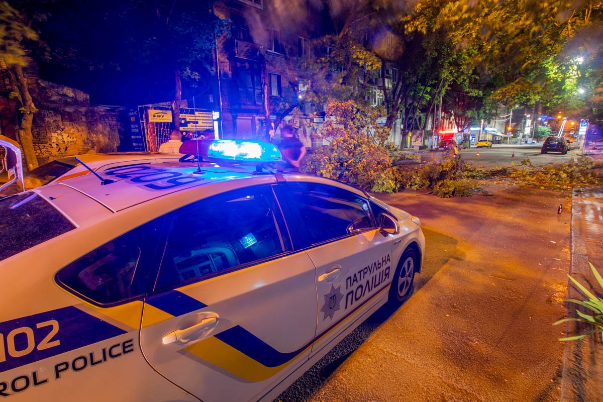 В центре Днепра крупная ветка перегородила проезжую часть В центре Днепра крупная ветка перегородила проезжую часть