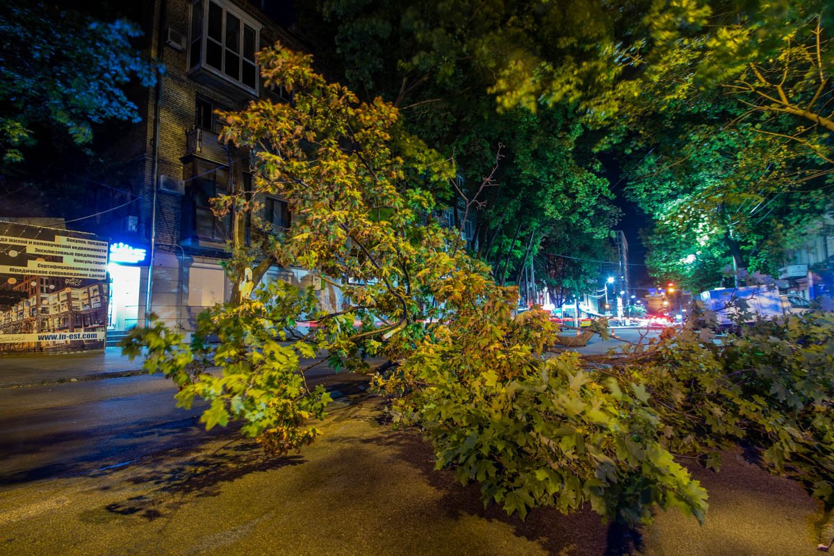 Происшествие обошлось без жертв Происшествие обошлось без жертв