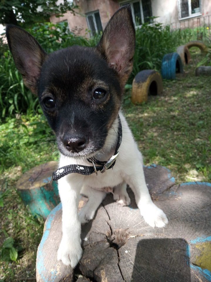 Малыша потеряли