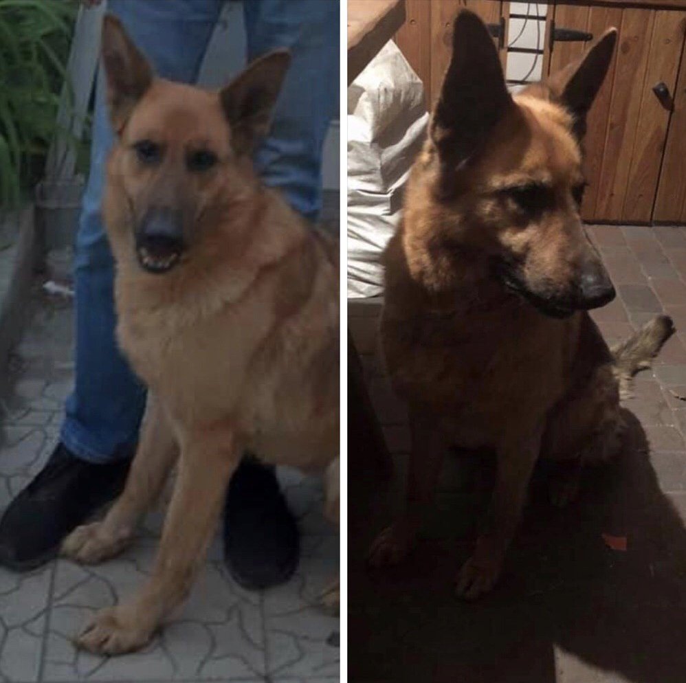 Семья потеряла друга