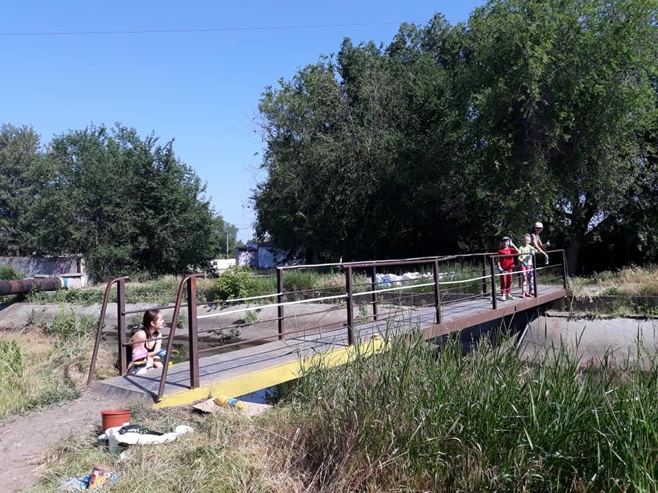 Местная жительница не могла бросить собаку