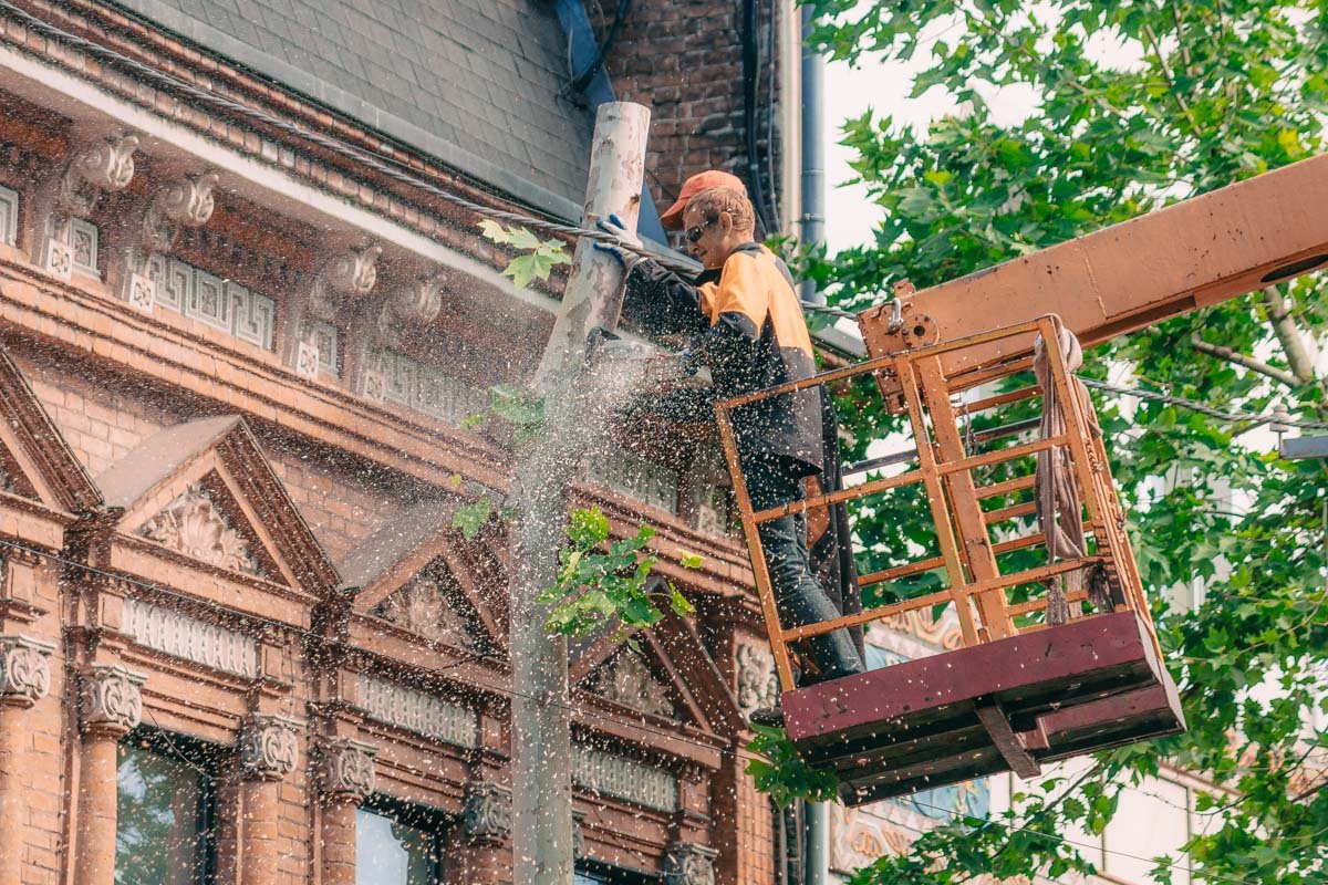 Фото Дениса Чубченко Фото Дениса Чубченко