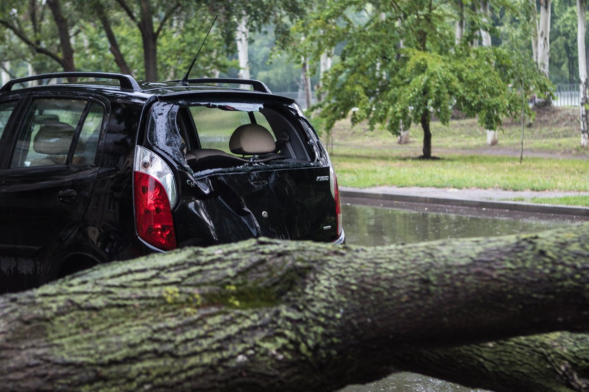 Никто и подумать не мог, что в планах у погоды сегодня - валить деревья Никто и подумать не мог, что в планах у погоды сегодня - валить деревья