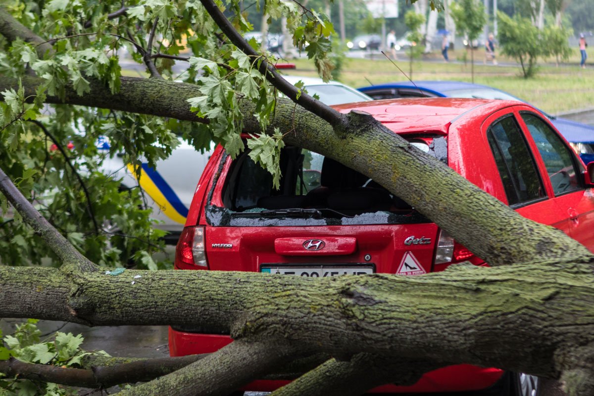 Происшествие обошлось без пострадавших Происшествие обошлось без пострадавших