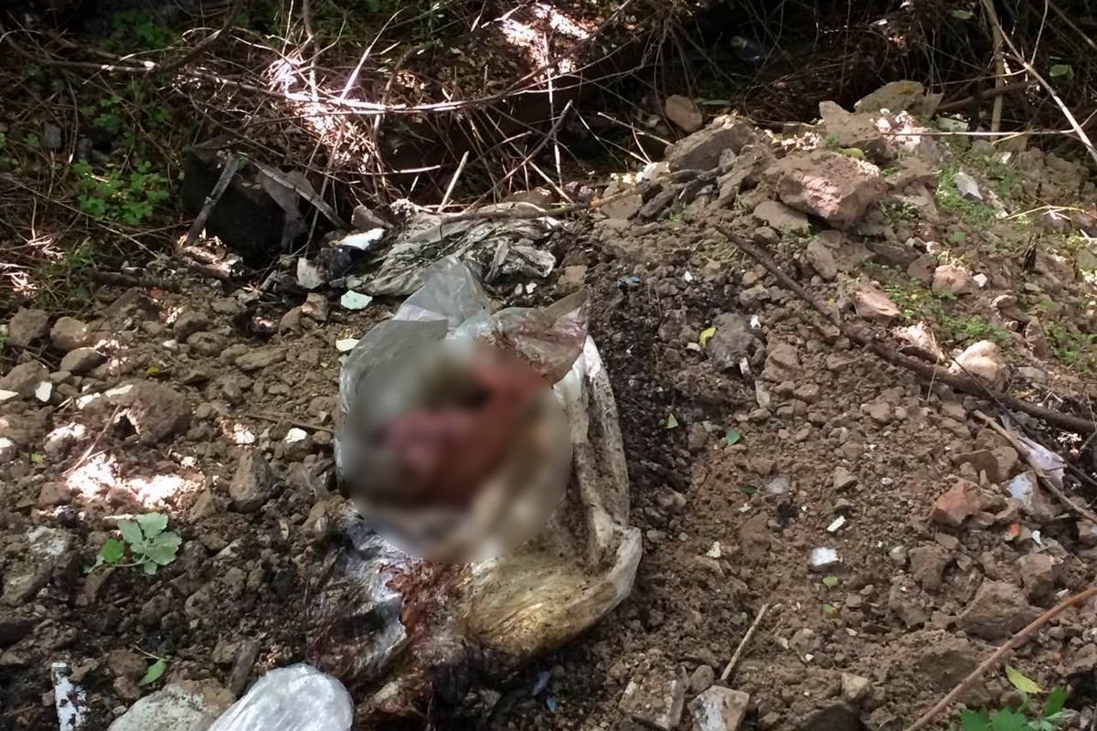 Что стало причиной смерти и как тело оказалось на территории предприятия - выяснит следствие Что стало причиной смерти и как тело оказалось на территории предприятия - выяснит следствие