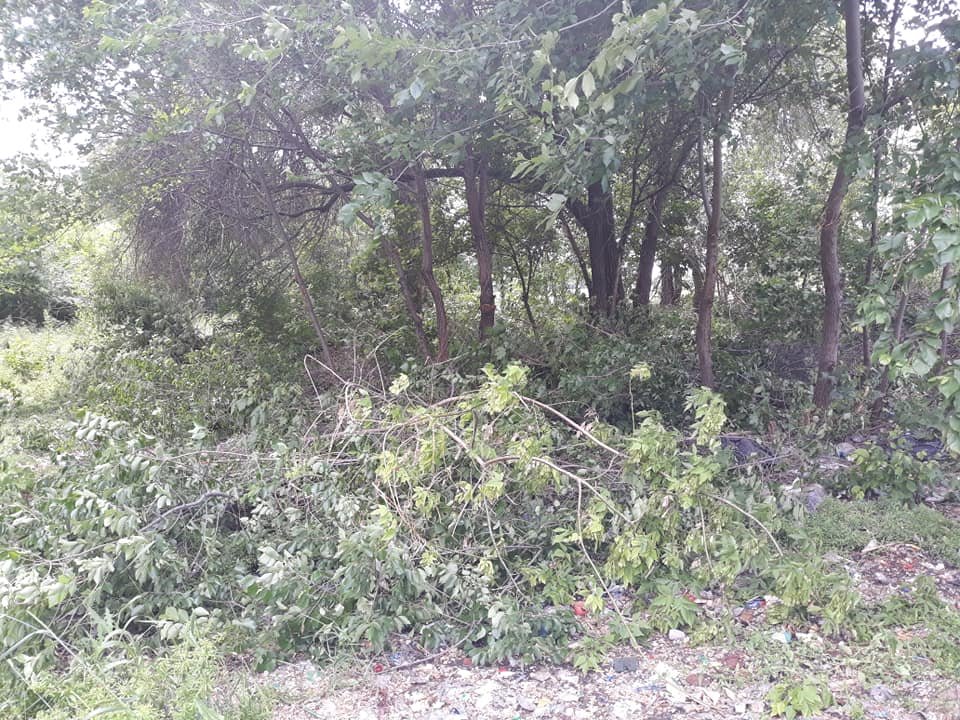 Время для добра