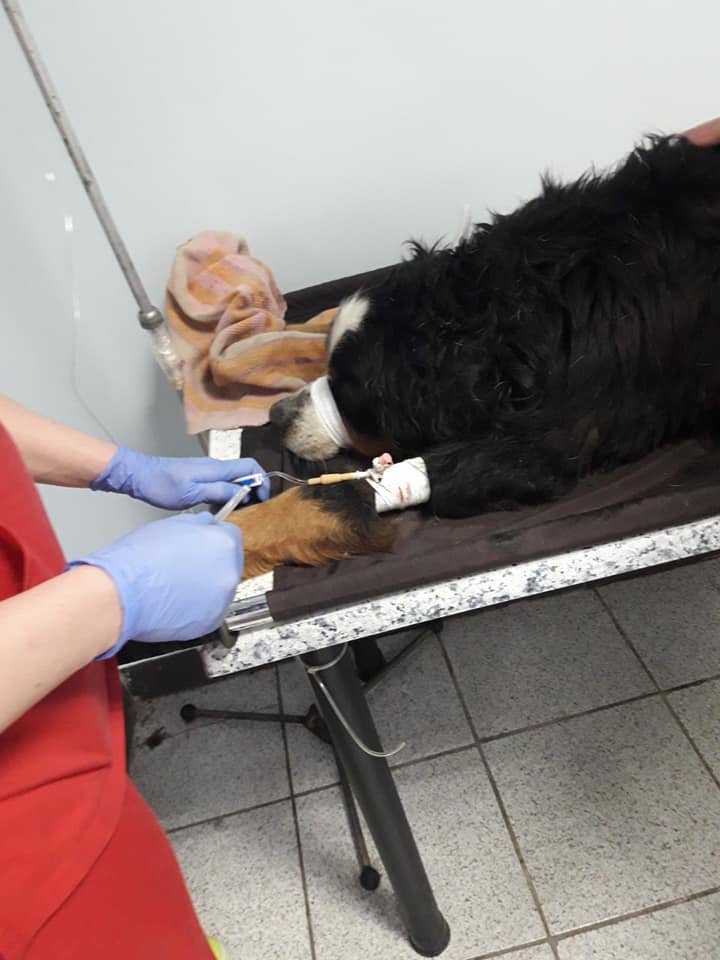 Малышу оказывают помощь