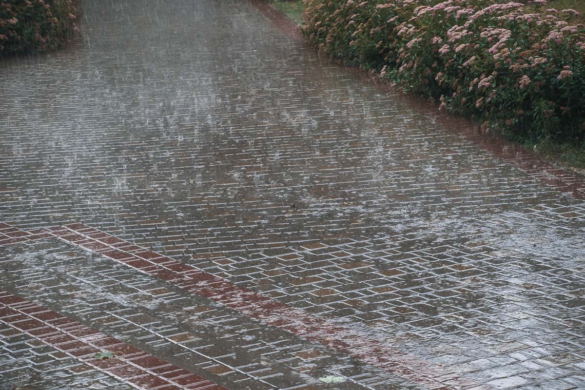 Что придёшь, Ты придёшь, Ты придёшь, Но будет поздно.