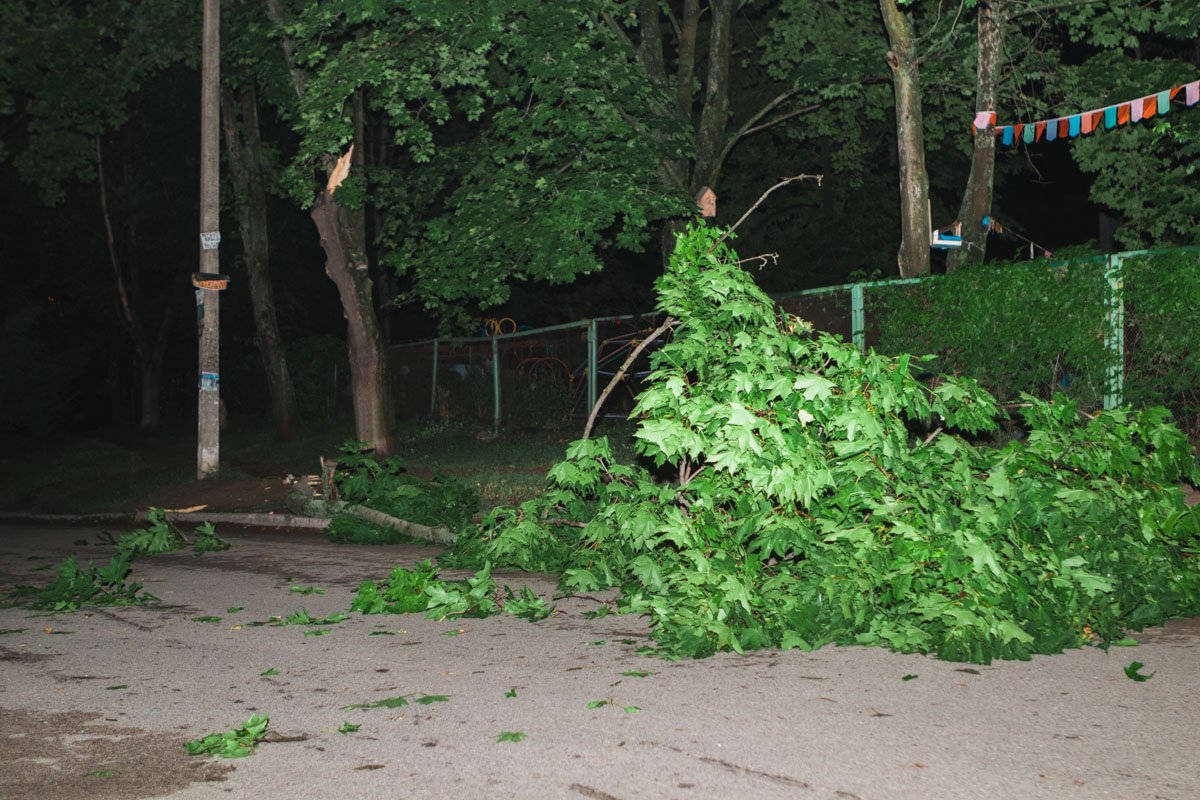 Никто не пострадали Никто не пострадали