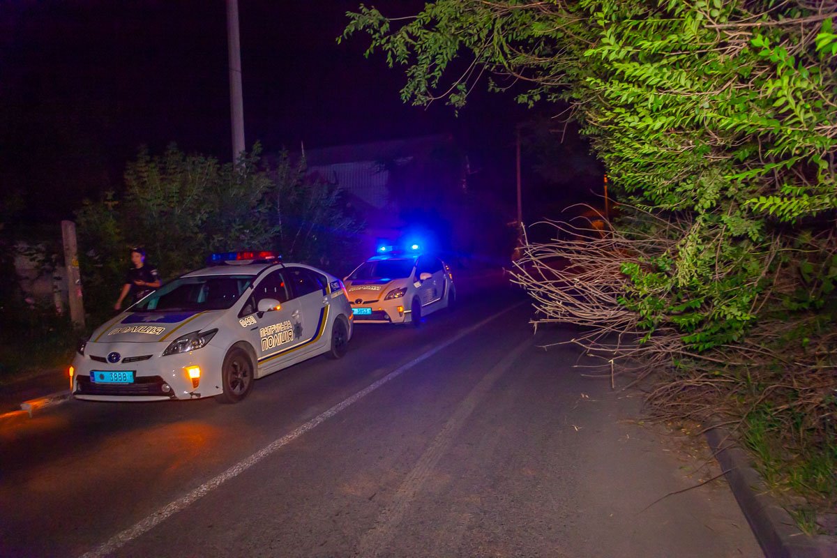 Патрульные обвинили именно его в создании аварийной обстановки и начали выписывать ему постановление по статье 124