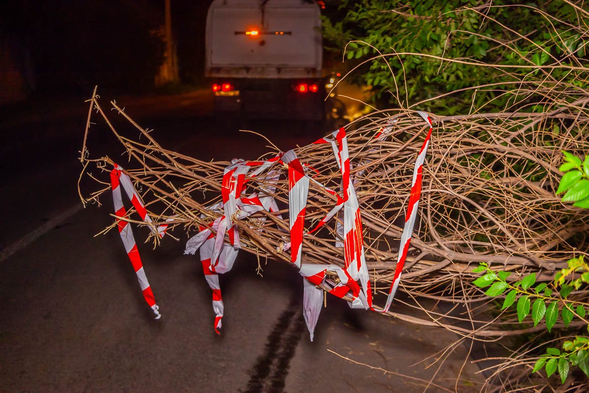 Спустя несколько часов разбирания, приехала коммунальная служба и обозначила ветку, повесив на нее сигнальную ленту