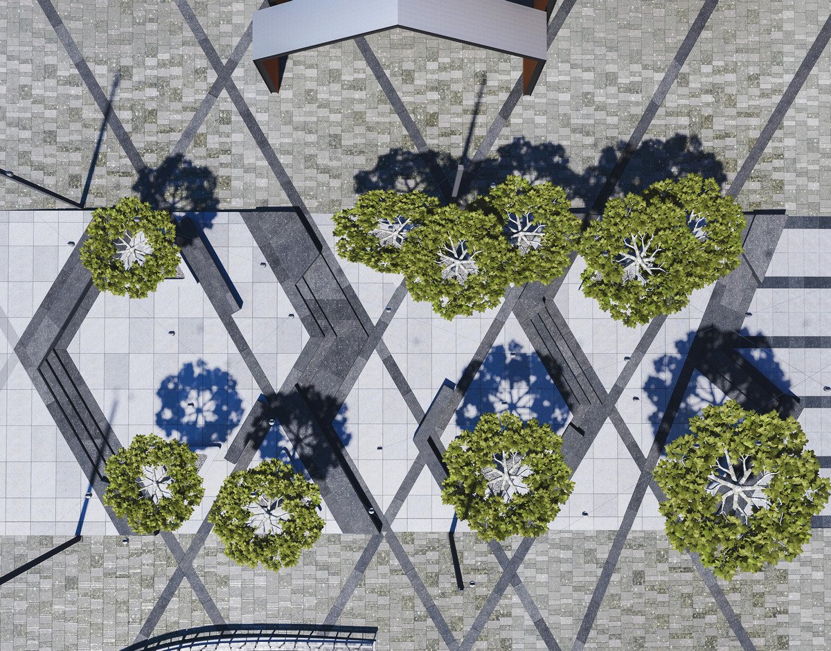 Обещают, что уже в следующем году новые платаны будут давать тень Обещают, что уже в следующем году новые платаны будут давать тень