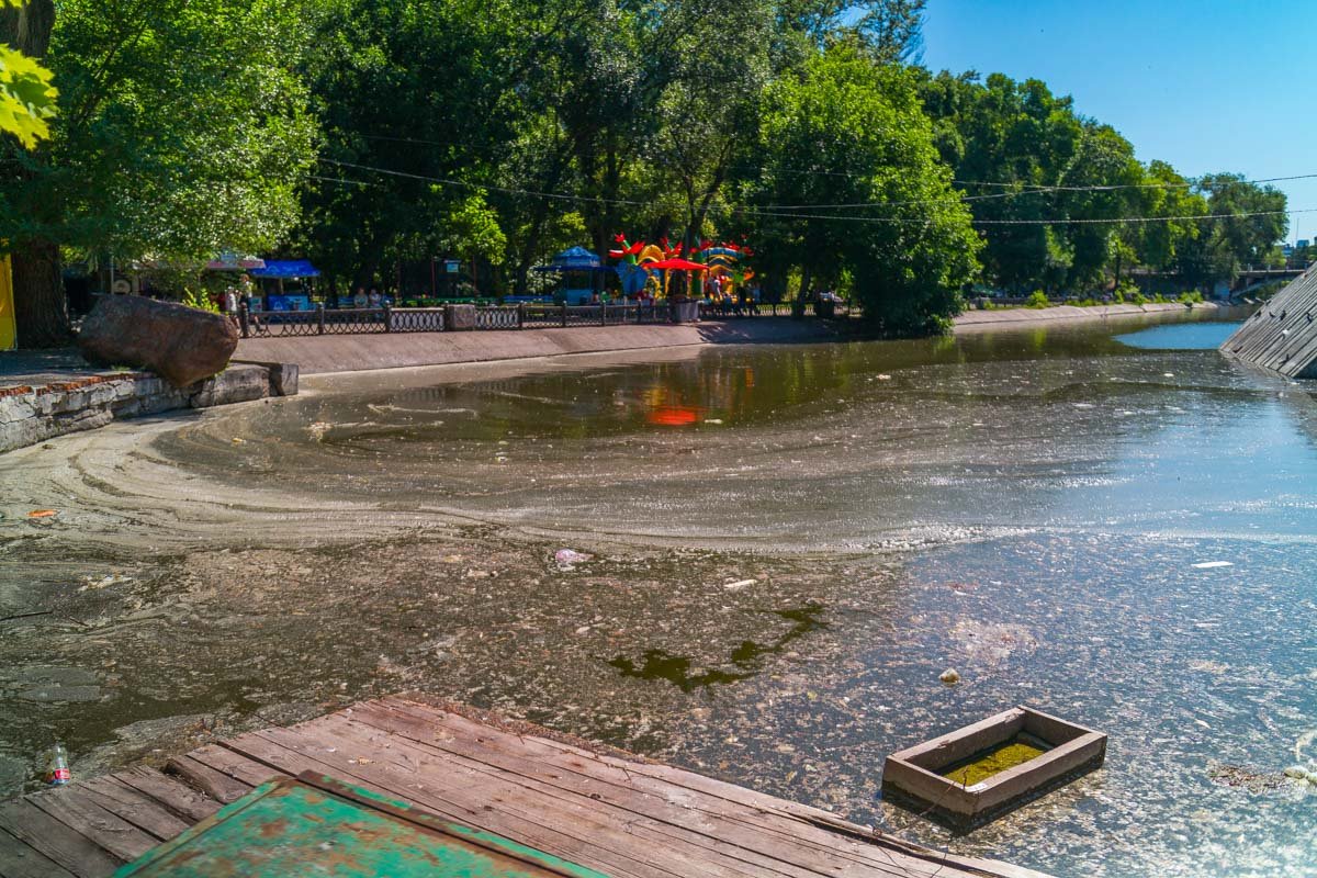 Водоем превращается в болото