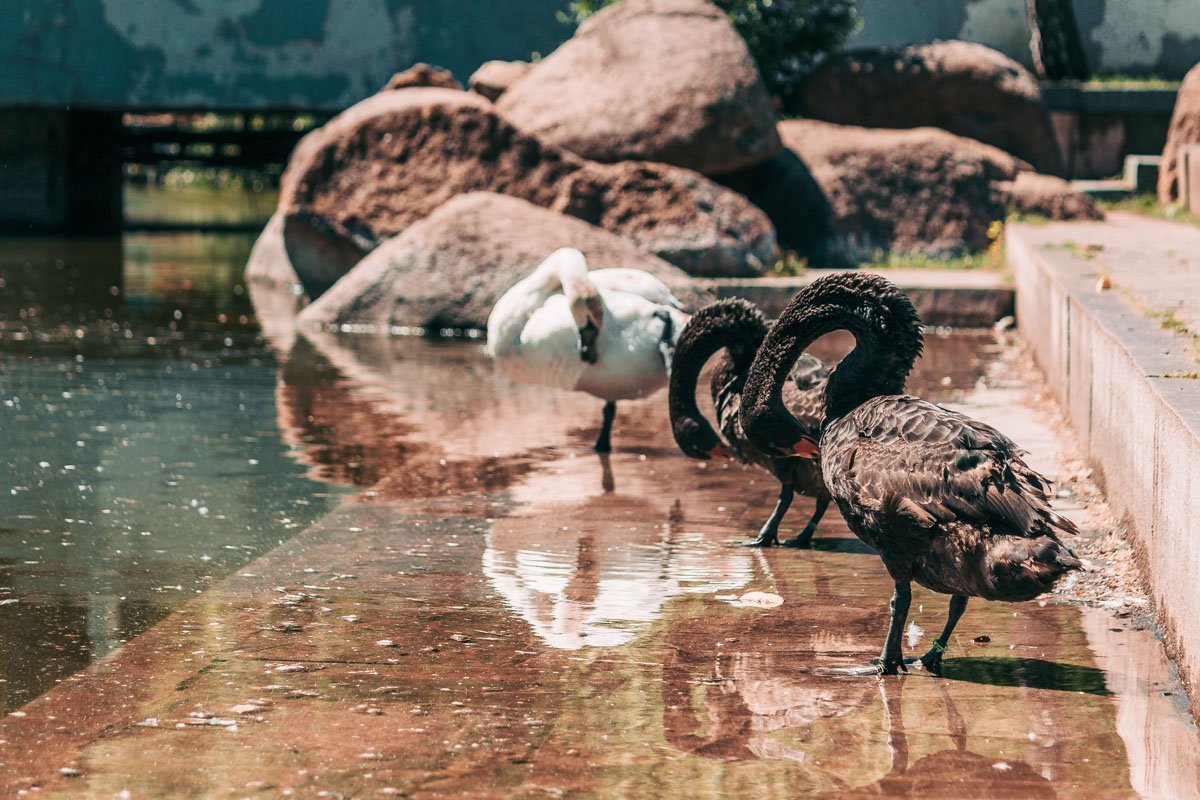 Которые ежедневно подвергаются опасности 