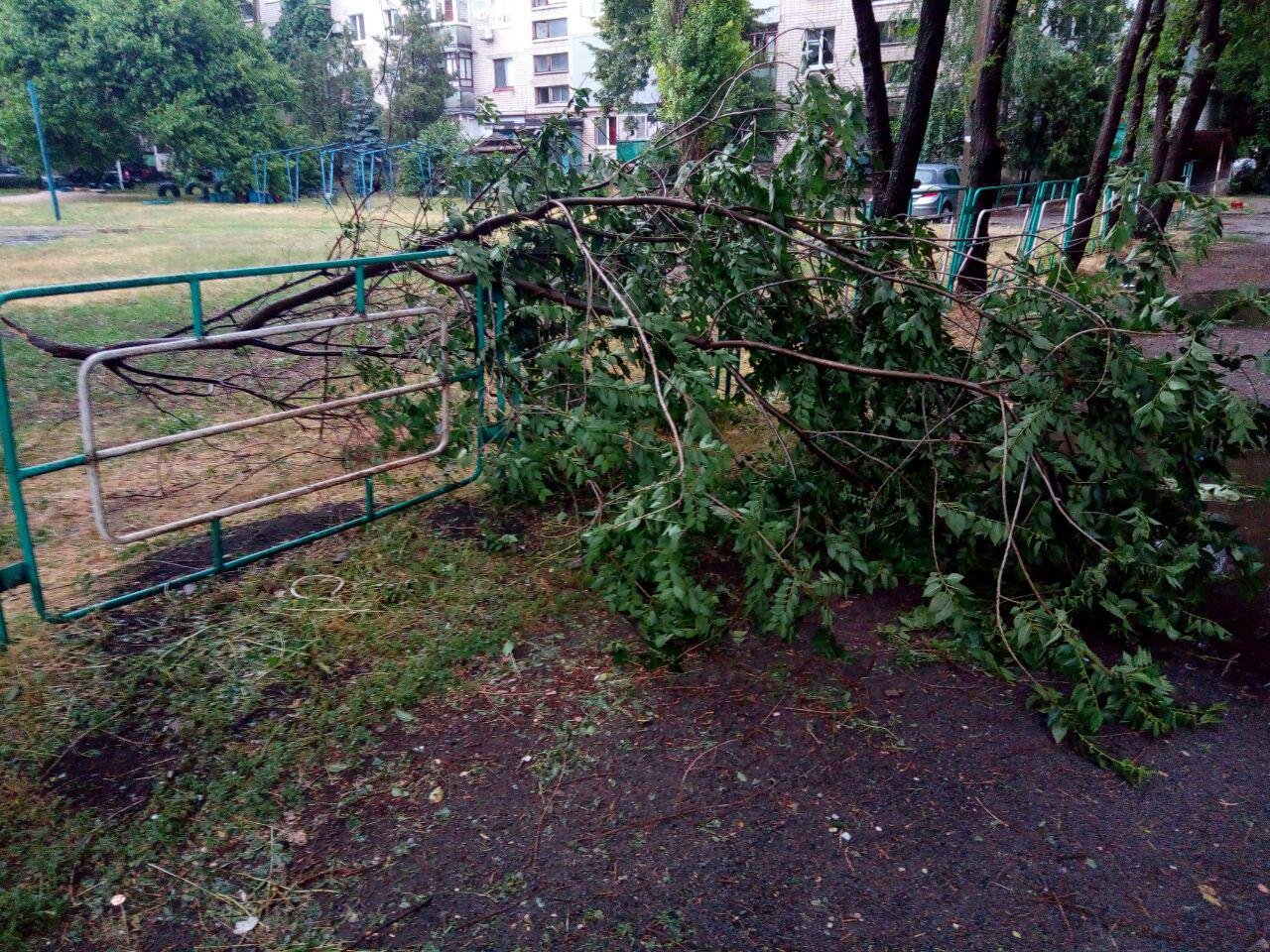 Деревья не выдержали натиска стихии Деревья не выдержали натиска стихии