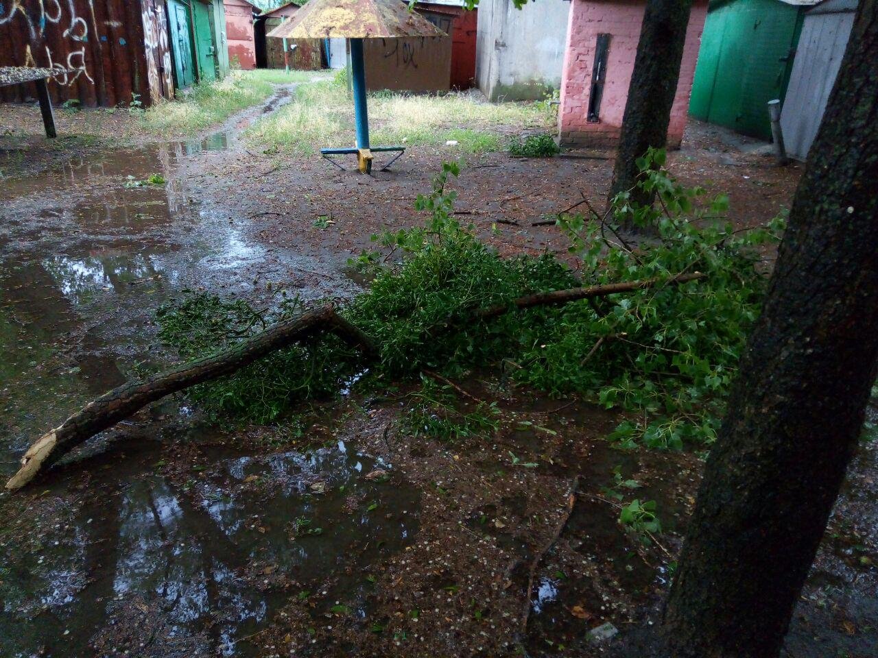 Повсюду валяются ветки Повсюду валяются ветки