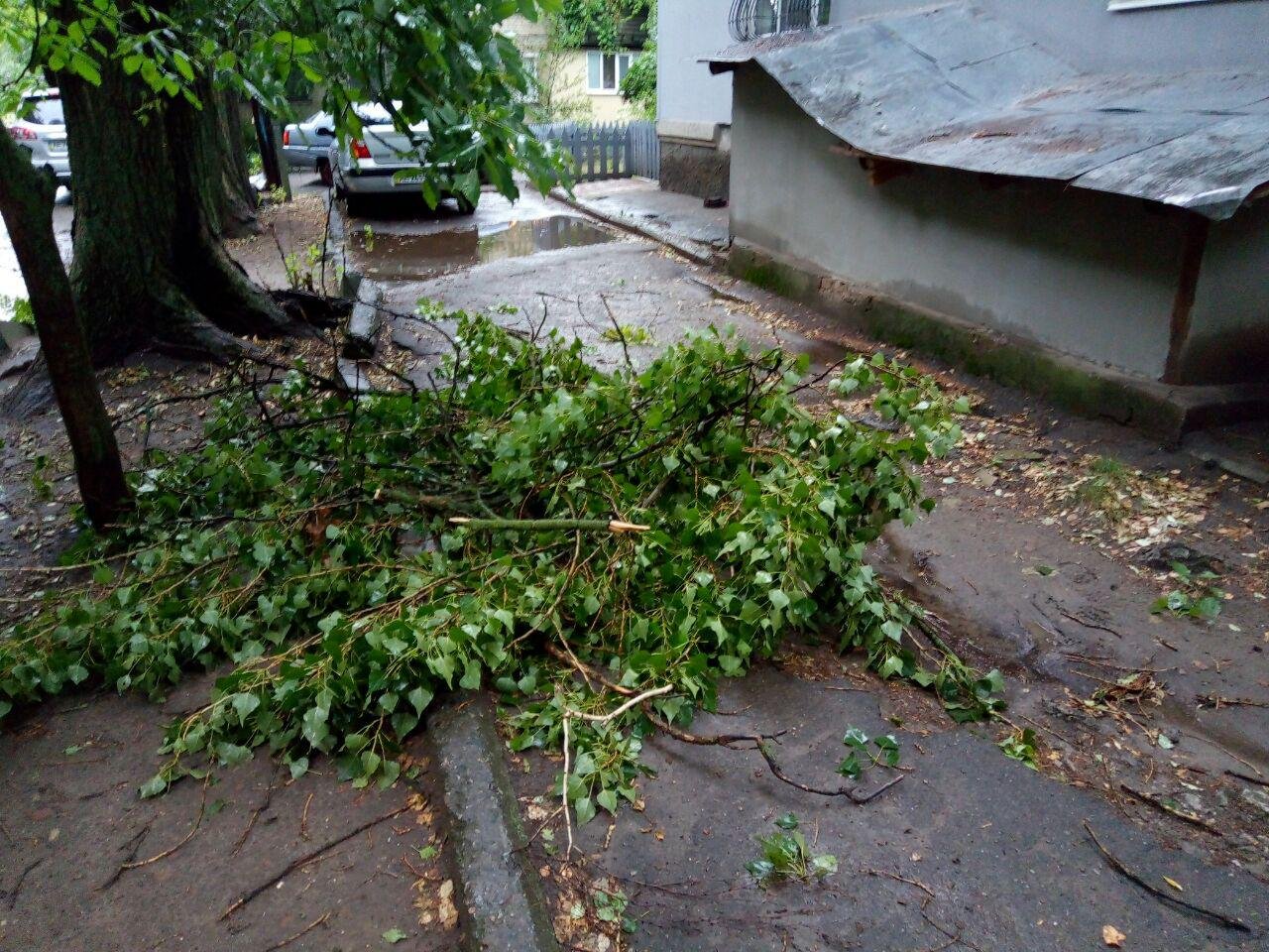 И здесь тоже И здесь тоже