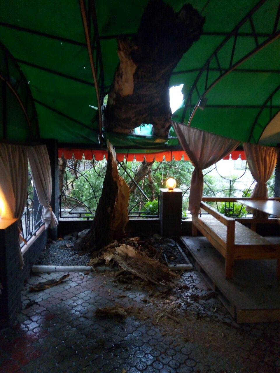 Вот уж кому действительно не повезло Вот уж кому действительно не повезло