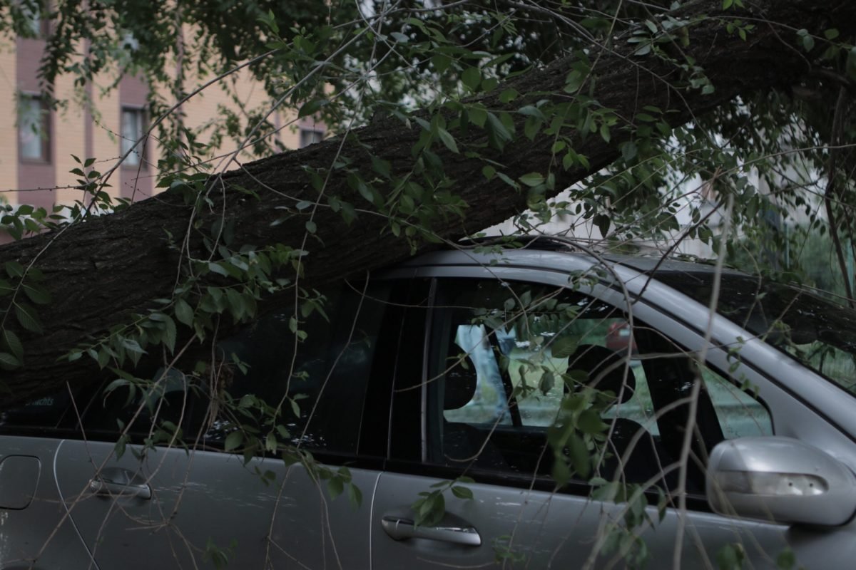 Владельцу все-таки придется потратиться на ремонт