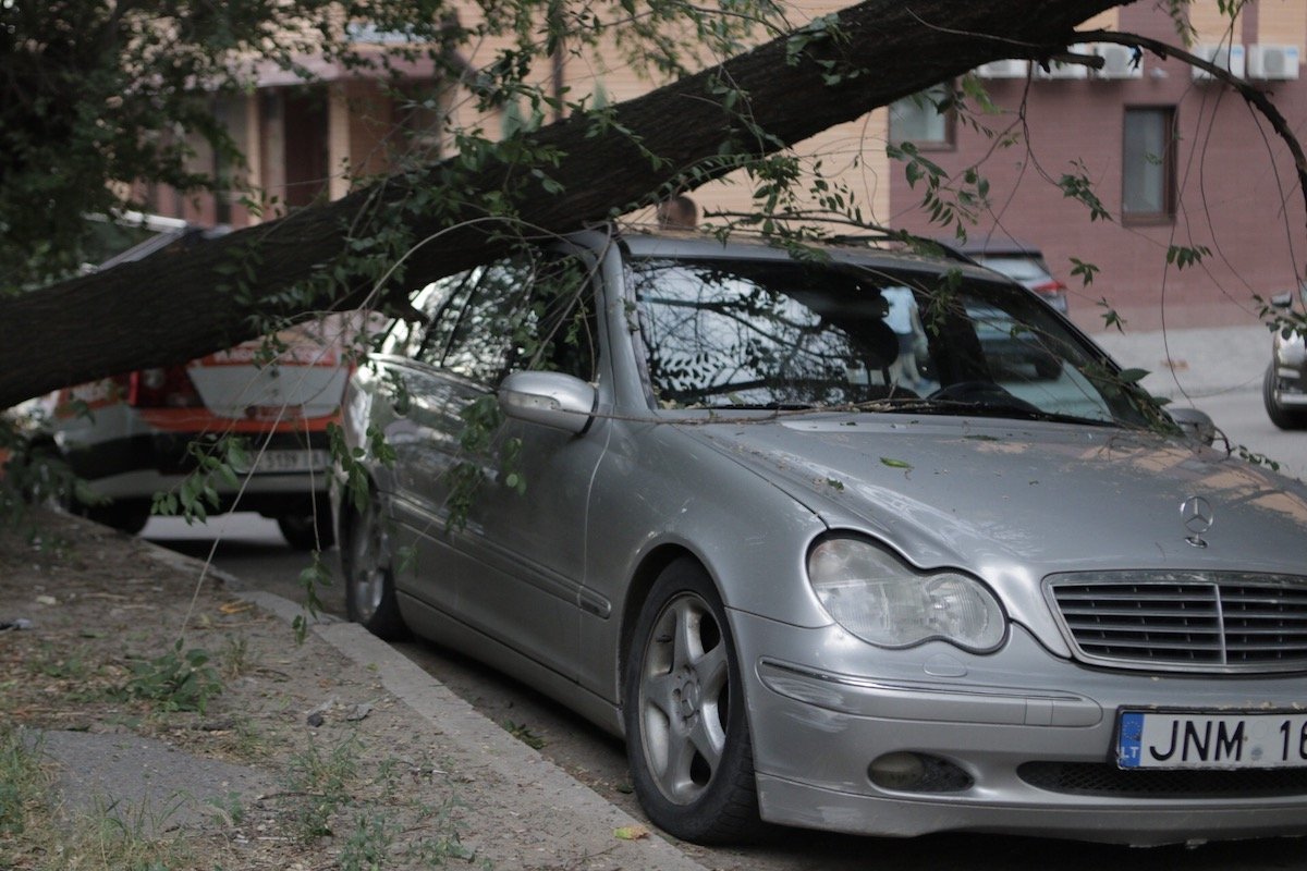 Дерево рухнуло прямо на машину