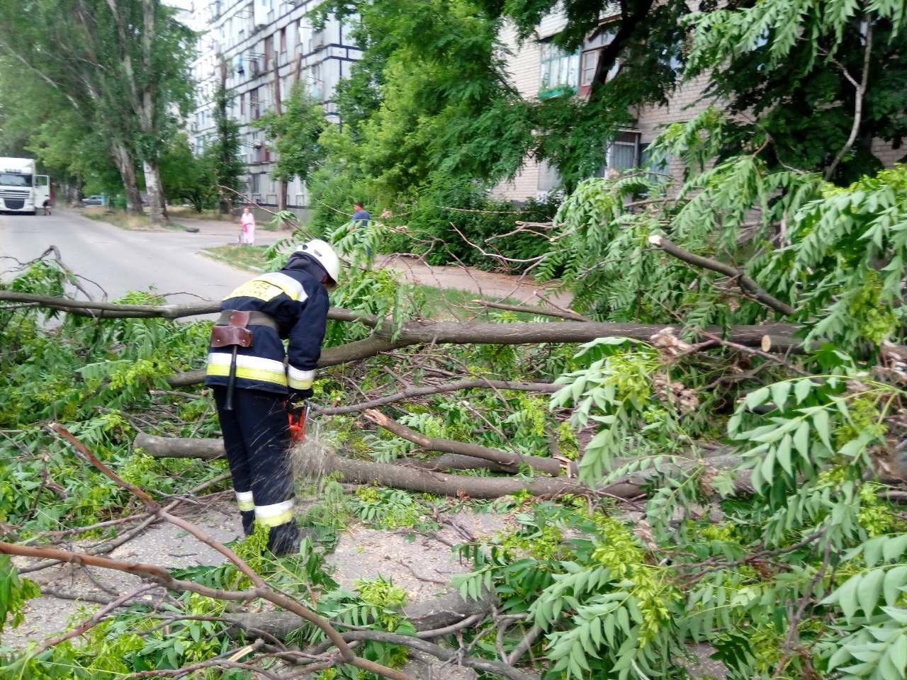 Из-за непогоды по области валятся деревья