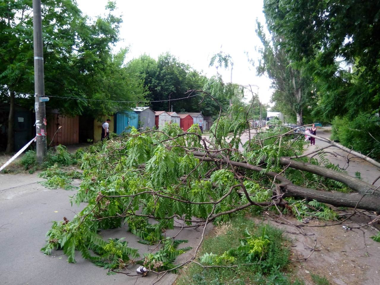Движение восстановлено 