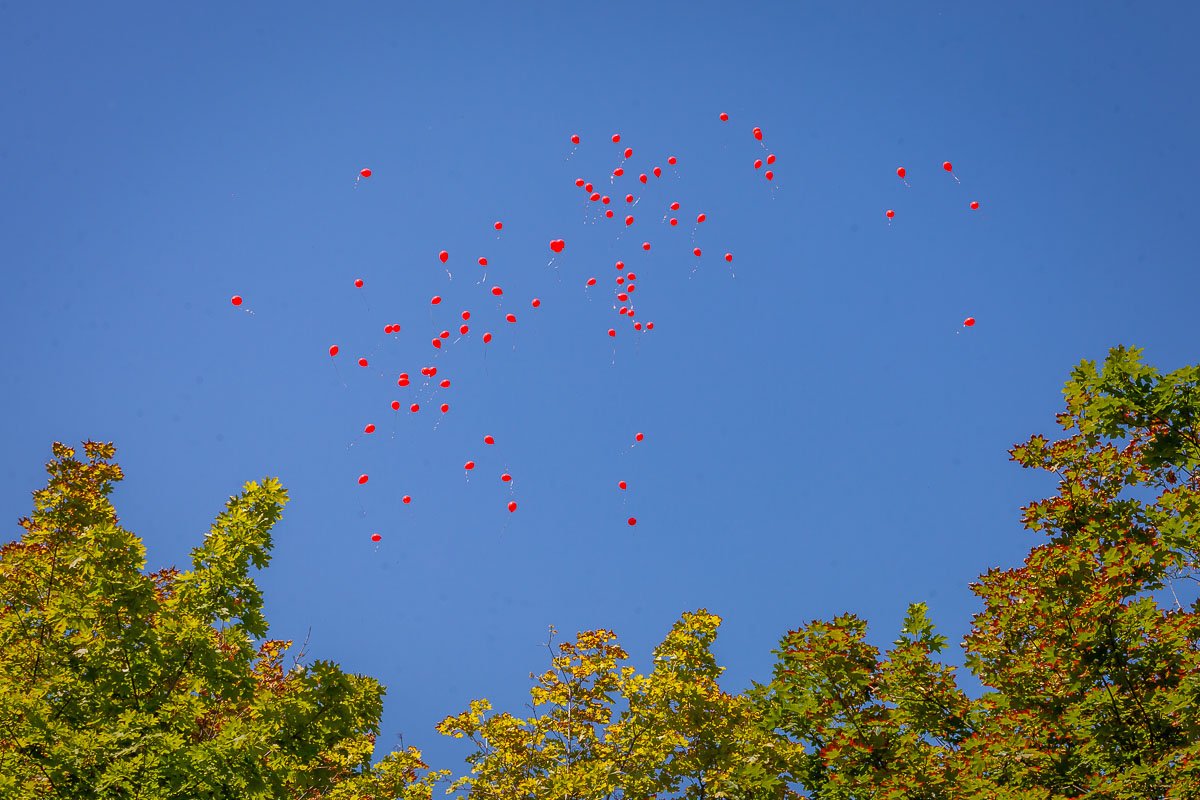 После флешмоба шарики отпустили в небо