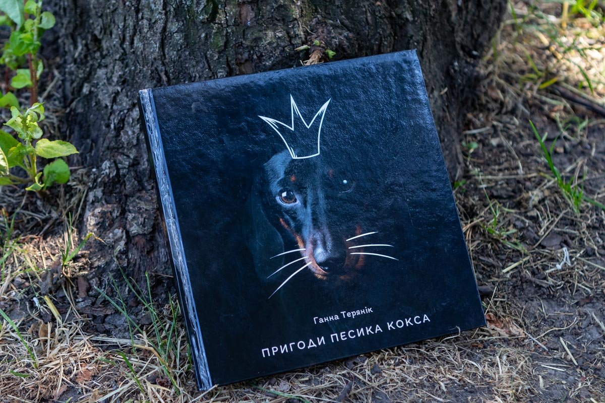 Время знакомиться