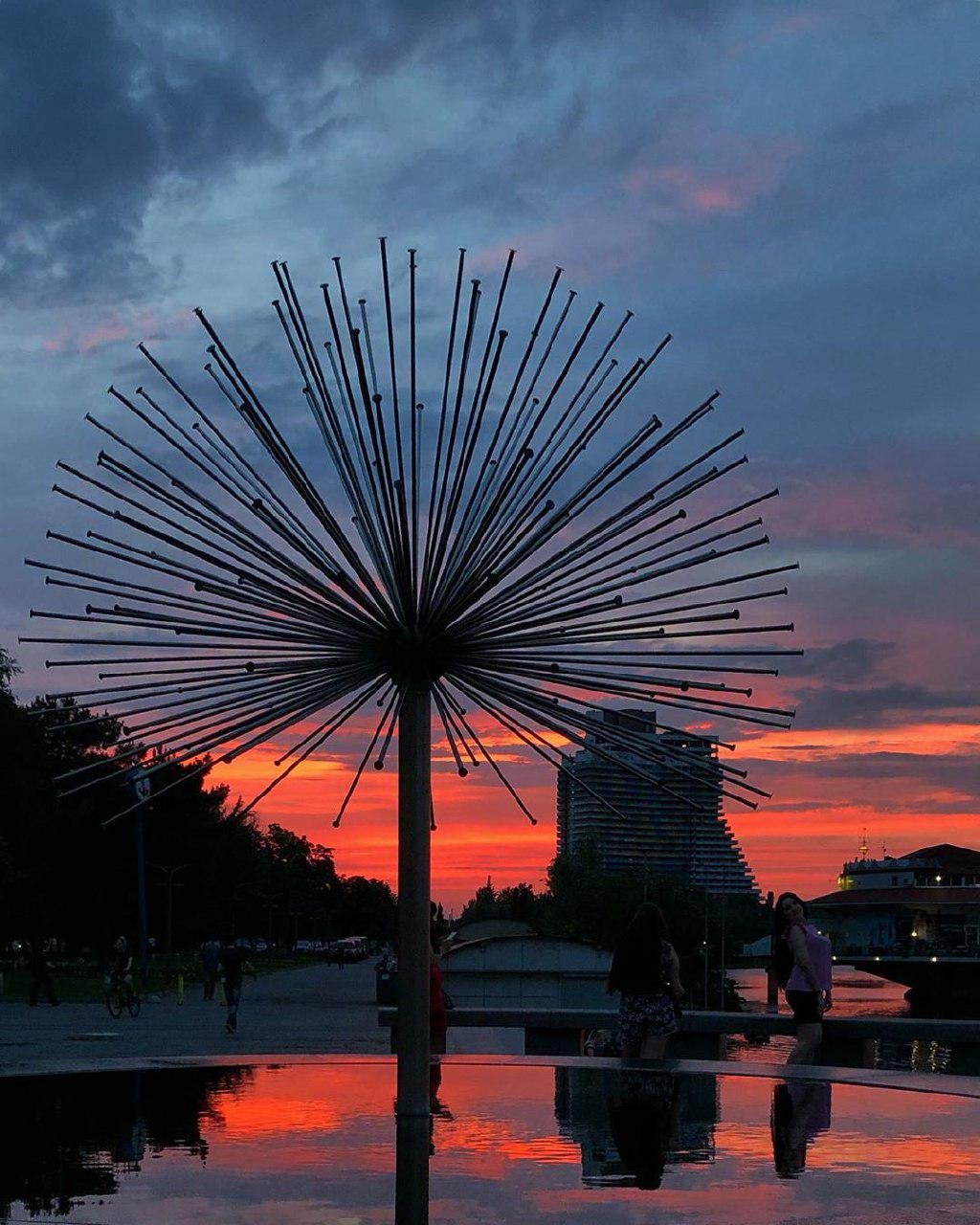 Ежик. Фото: vladimir_podunay Ежик. Фото: vladimir_podunay