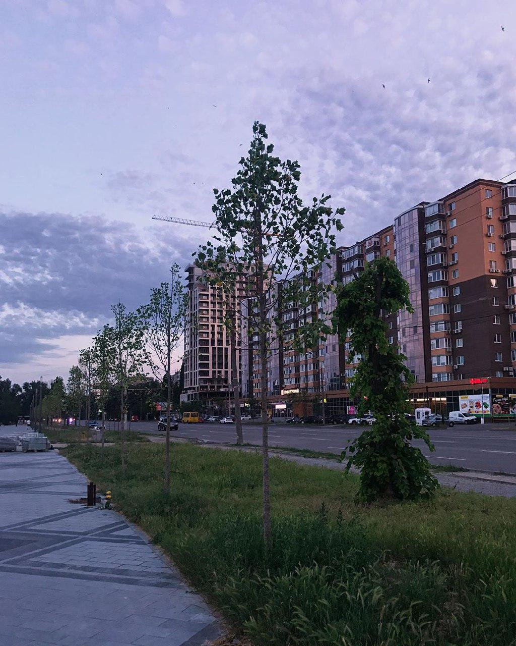 Спокойствие. Фото: roman_khramenkov Спокойствие. Фото: roman_khramenkov