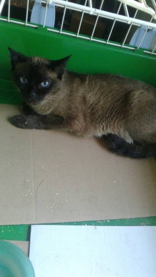 Хочет найтись