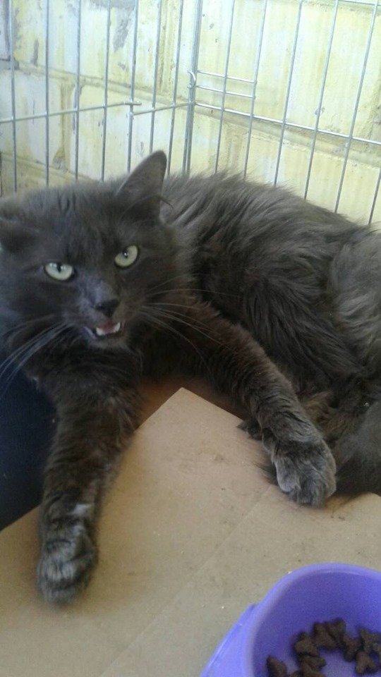 Помогите найтись