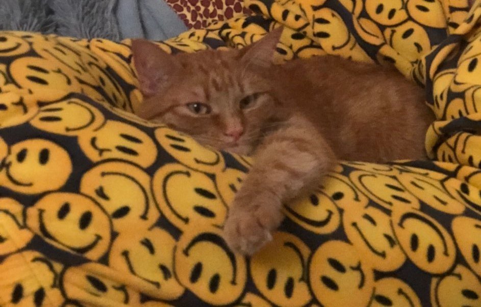 Помогите найти