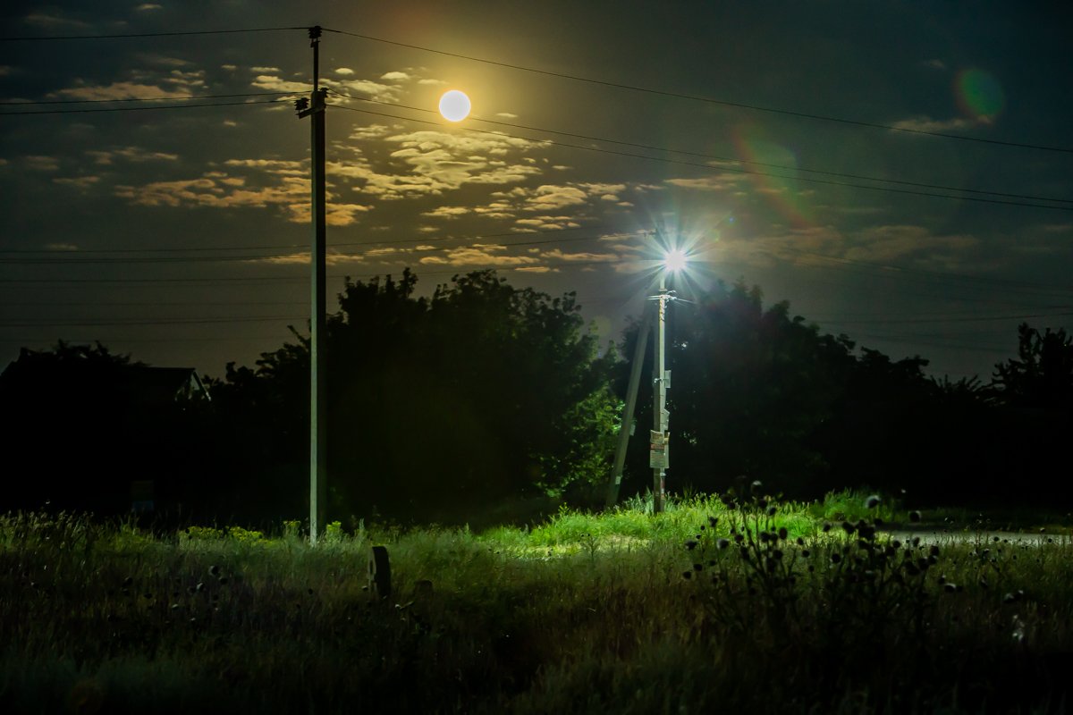 Здесь можно насаждаться тишиной и воздухом Здесь можно насаждаться тишиной и воздухом