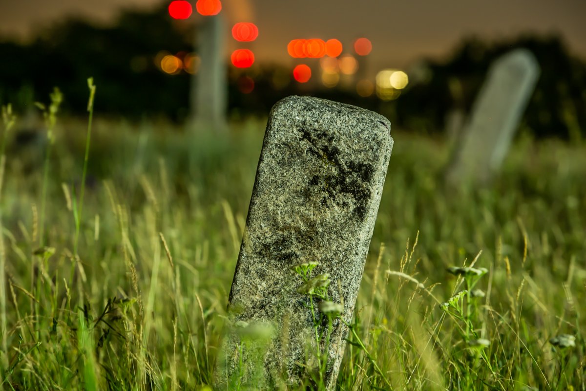 Вдали от глухой тишини кипит жизнь Вдали от глухой тишини кипит жизнь
