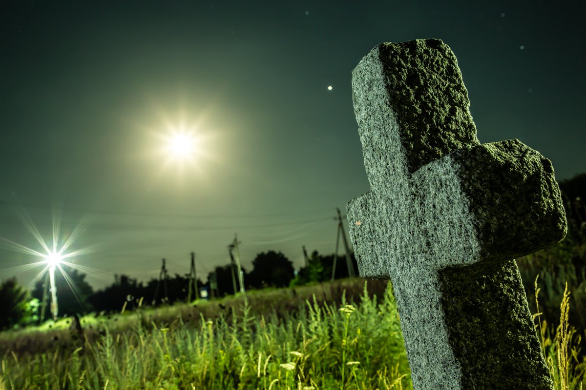 Фото: Александр Лаур Фото: Александр Лаур