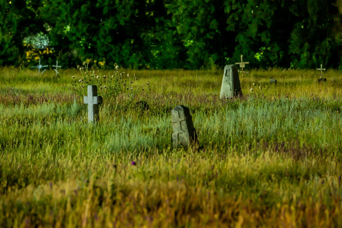 Фото: Александр Лаур Фото: Александр Лаур