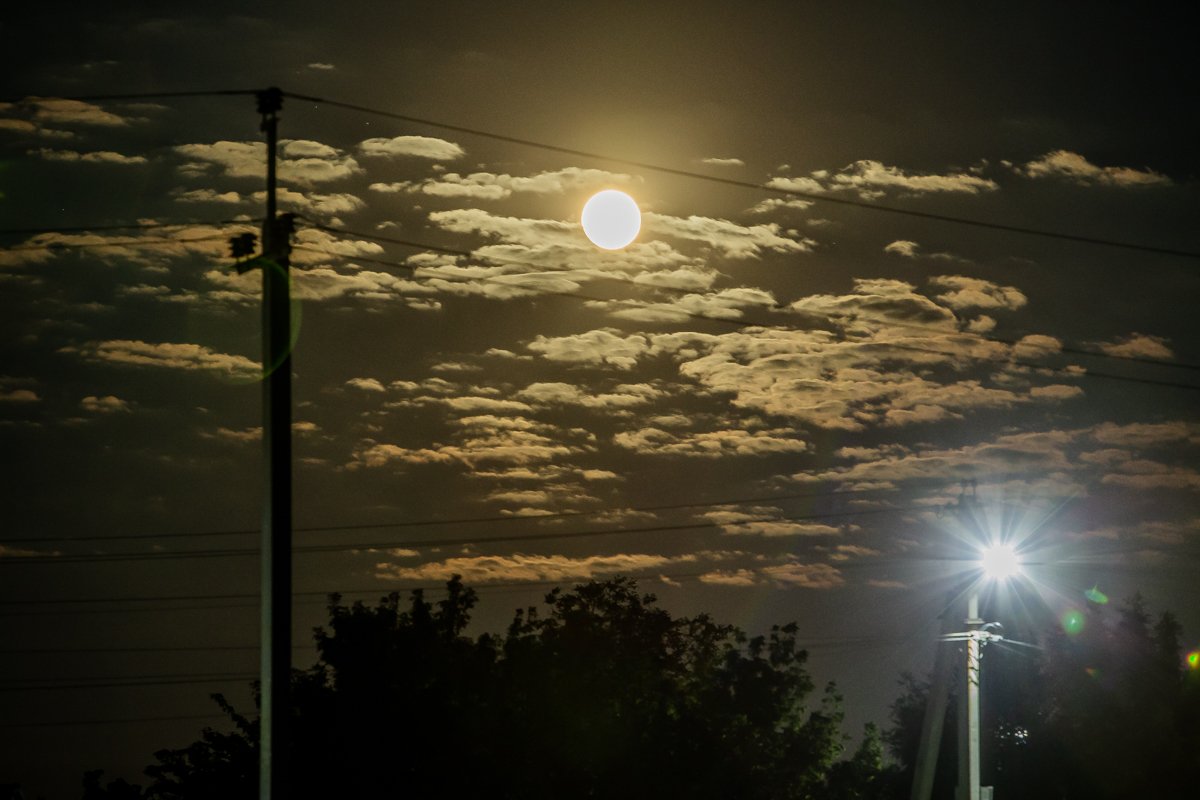 Летние ночи невероятны  Летние ночи невероятны