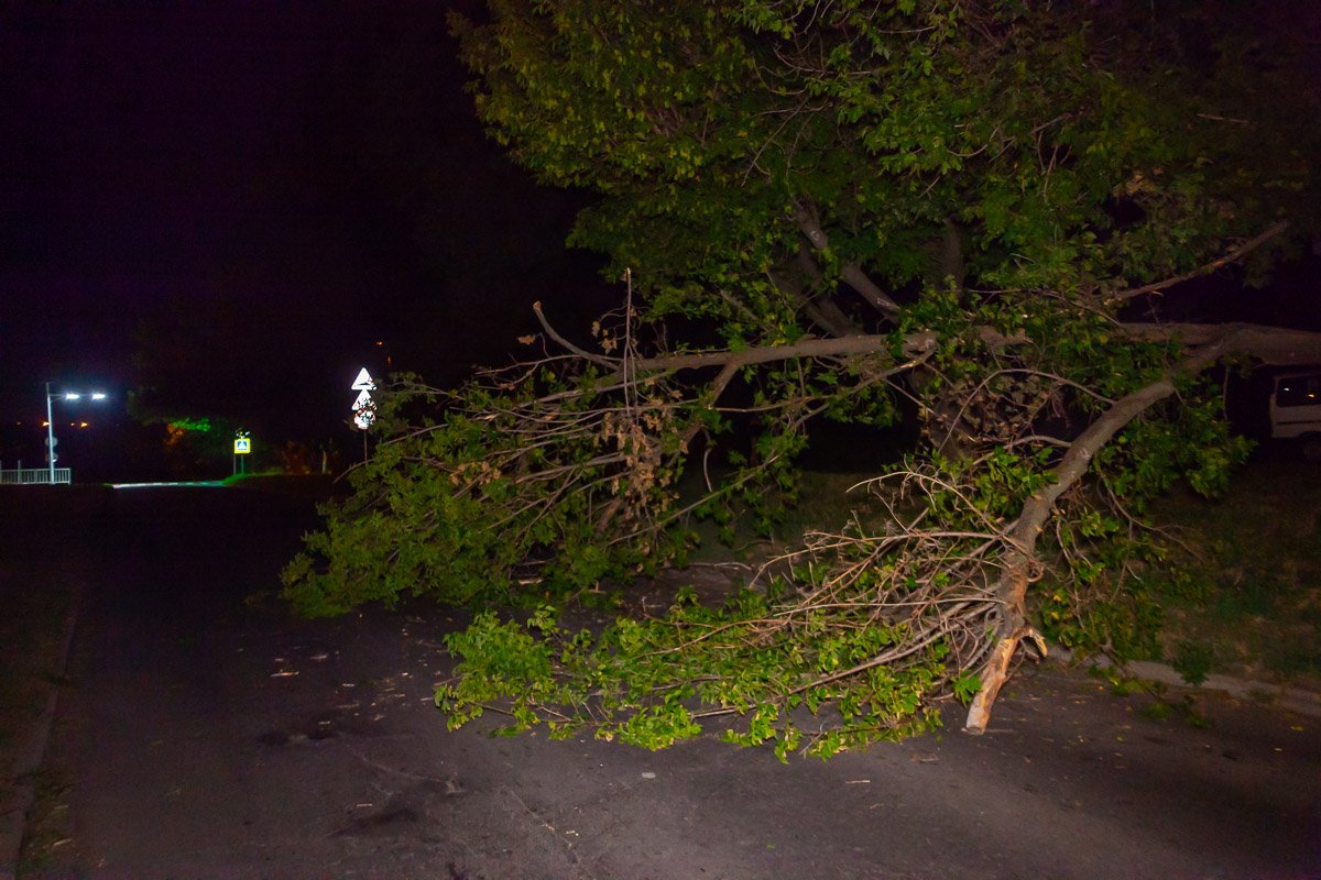 В ночное время движение транспорта на данном участке дороги не загружено В ночное время движение транспорта на данном участке дороги не загружено