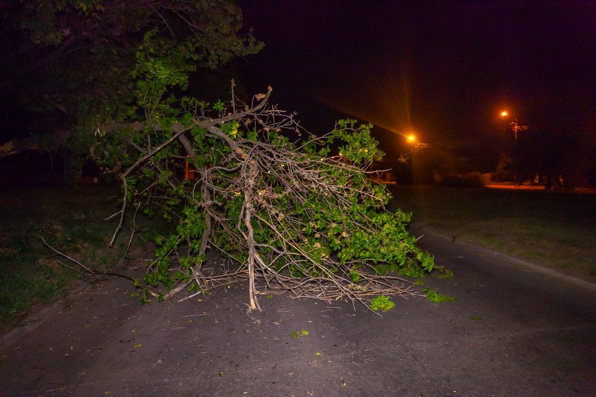 Утром, днем и вечером тут оживленный трафик Утром, днем и вечером тут оживленный трафик