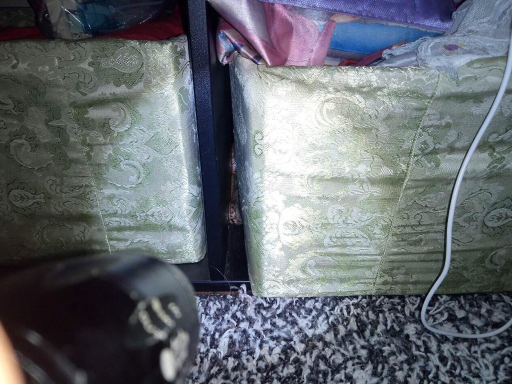 Змея заползла в частный дом и спасателям пришлось ее доставать