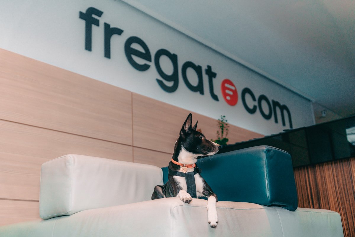 В "Фрегате" целый день работала собака 2