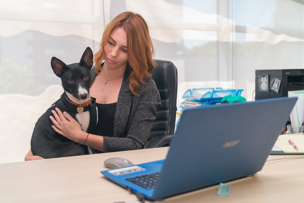 В "Фрегате" целый день работала собака 6