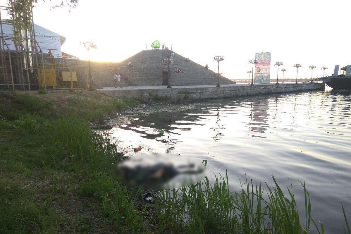 Труп, который плыл по течению в нескольких метрах от берега, увидели пассажиры прогулочного катера Труп, который плыл по течению в нескольких метрах от берега, увидели пассажиры прогулочного катера