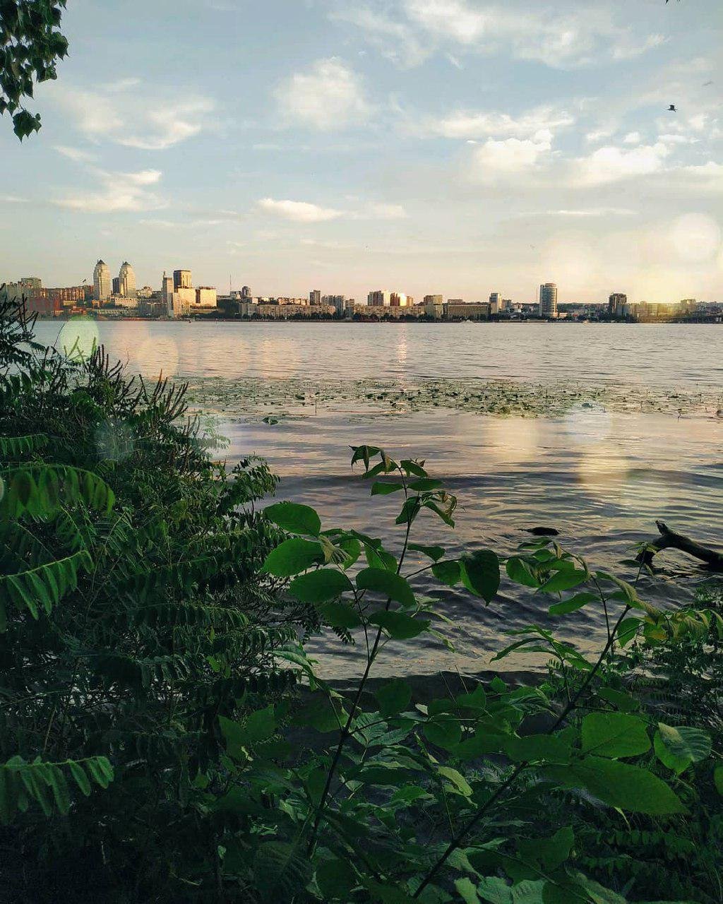 Лето. Фото: jullred